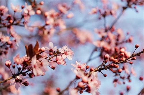 经典教师节祝福语文案